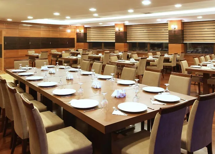 Balturk Sakarya Hotel 4*
