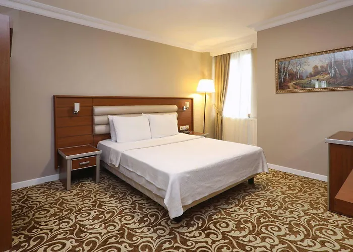 Balturk Sakarya Adapazari