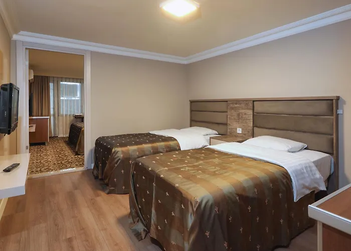 Hotel Balturk Sakarya 4*