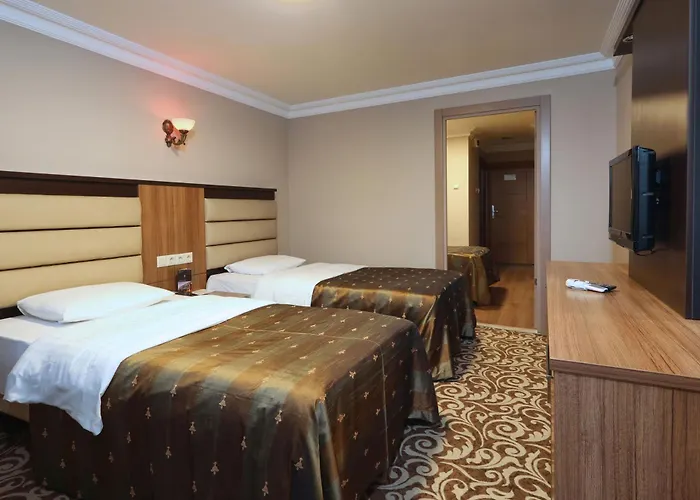 Hotel Balturk Sakarya 4*